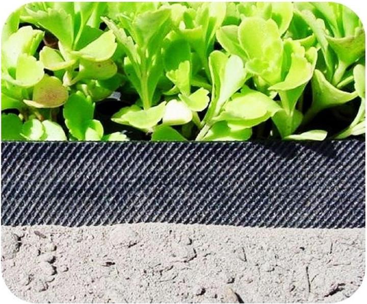 Immagine prodotto Green Split Nastro di plastica per la bordatura del prato 15 cm x 6 m (600 cm)