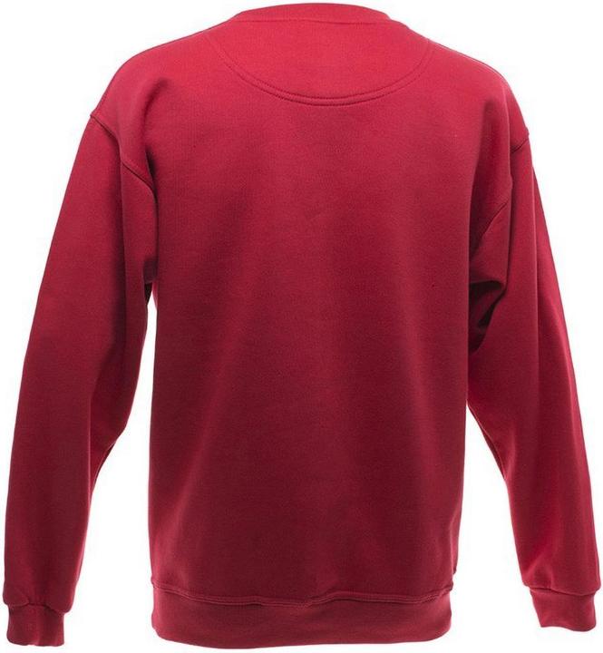 Immagine prodotto UCC 5050 Felpa Pullover a tinta unita con scollo rotondo (XS)