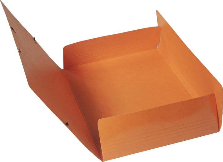 Image du produit Exacompta Dossier de collecte (A4, 625 x)