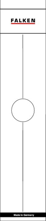 Produktbild Falken Ordnerrückenetikett Format des Schildes: breit/lang Masse: 60 x 290 mm (B x H)