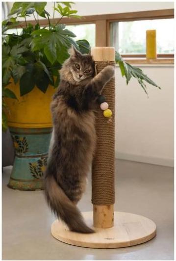 Actual product image Designed by Lotte Sinora (70 cm, Brown)