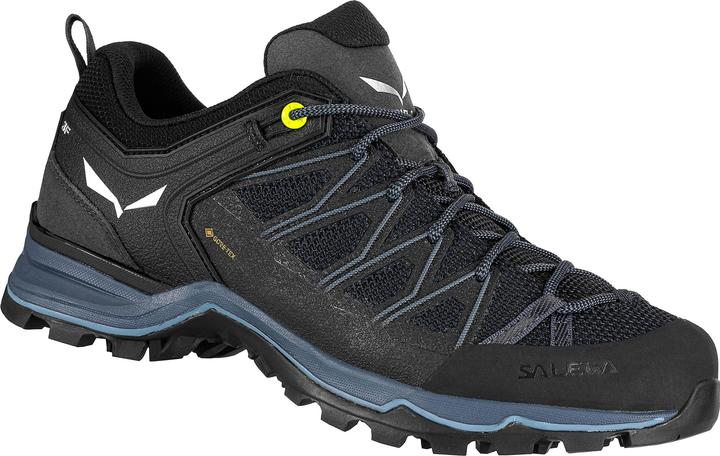 Image du produit Salewa Chaussures MTN Trainer Lite GTX (42)
