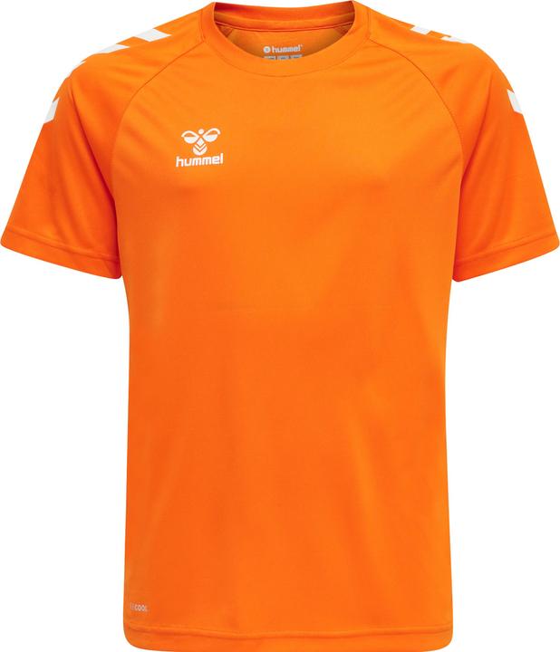 Tigre orange