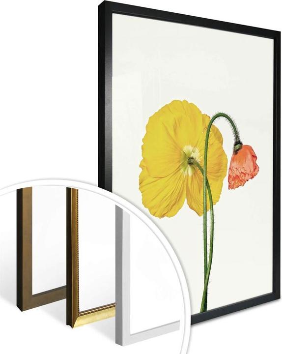 Actual product image Trenddeko The red and yellow flower (24 x 30 cm)