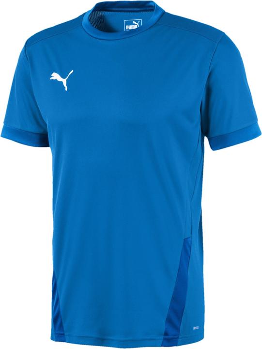 Puma teamGOAL 23 Jersey-704171 (S)