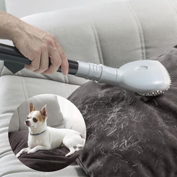 Produktbild InnovaGoods Bürste für Staubsauger Smoovah