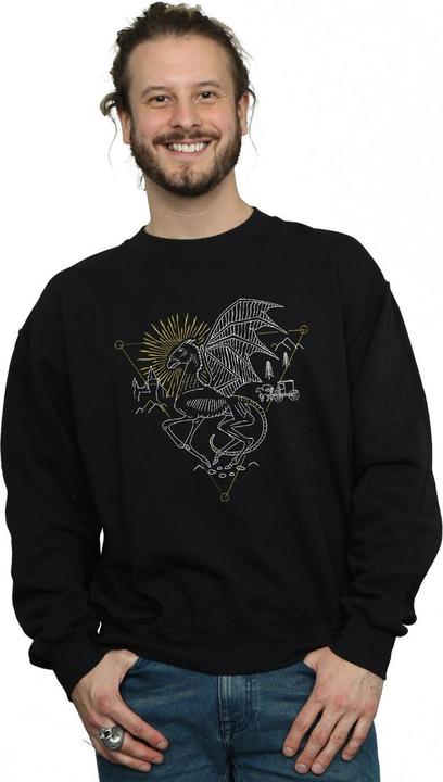Image du produit - Sweat THESTRAL LINE ART - Homme (XL)