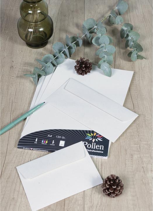 Image du produit Pollen Enveloppes (C6, 20 x)