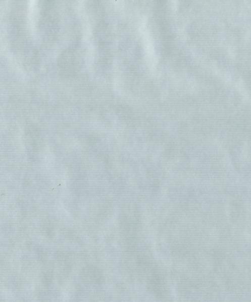 Produktbild Neutral Natura Kraft (Geschenkpapier, 1 x)