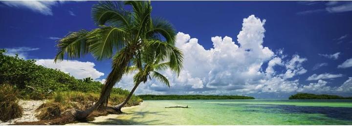 Produktbild Heye Paradise Palms (2000 Teile)