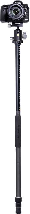 Image du produit Vanguard Stativ VEO3+263CB (Carbone)