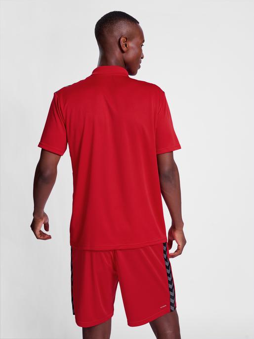 Actual product image hummel Hmlauthentic Functional Polo (L)