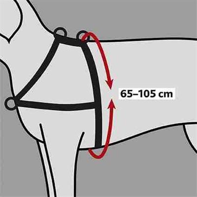 Image du produit Trixie Harnais d'entraînement Lead n Walk L-XL (L, XL, Chien, Général)