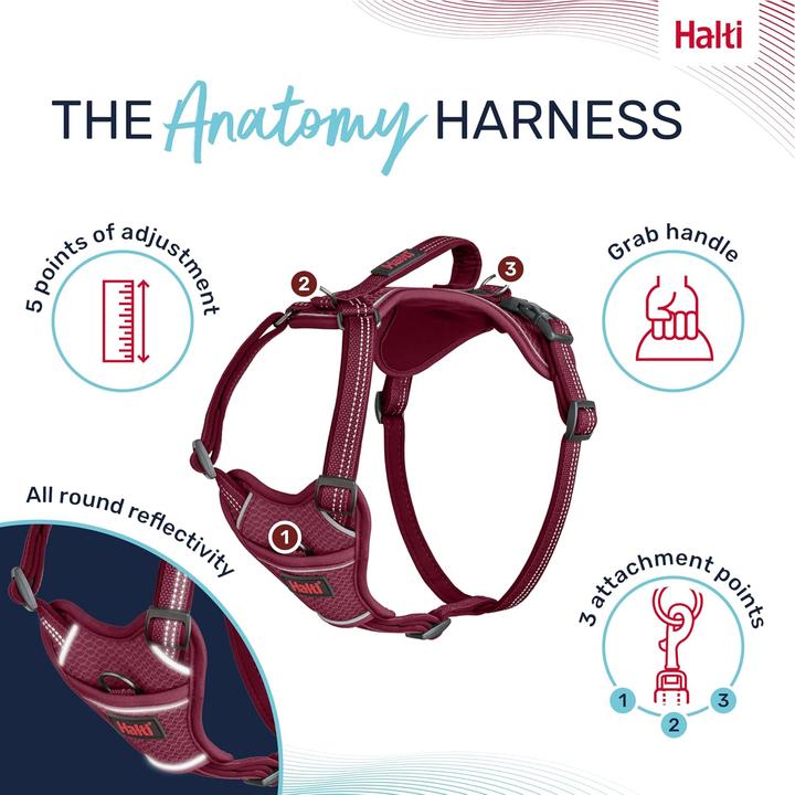 Produktbild Company of Animals Halti Anatomy M Hundegeschirr (M, Hund, Allgemein)