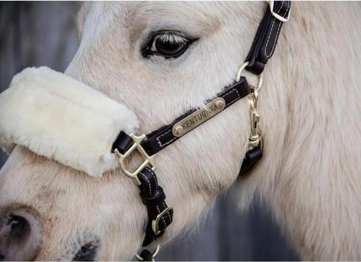 Actual product image Kentucky Horsewear Pony leather halter