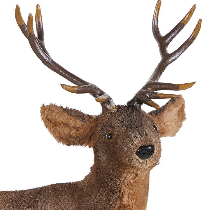 Actual product image Beliani Niesi
