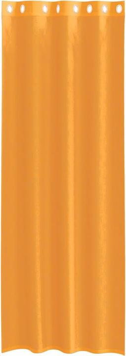 Immagine prodotto VidaXL Proskudiia (140 x 300 cm)