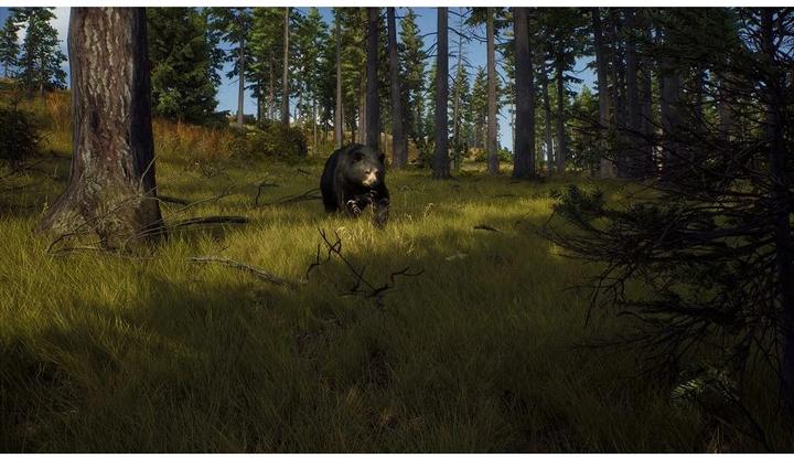 Produktbild THQ Way of the Hunter (Xbox Series X, DE)