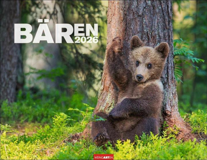 Bären Kalender 2026 (44 x 34 cm, Harter Einband, Deutsch)