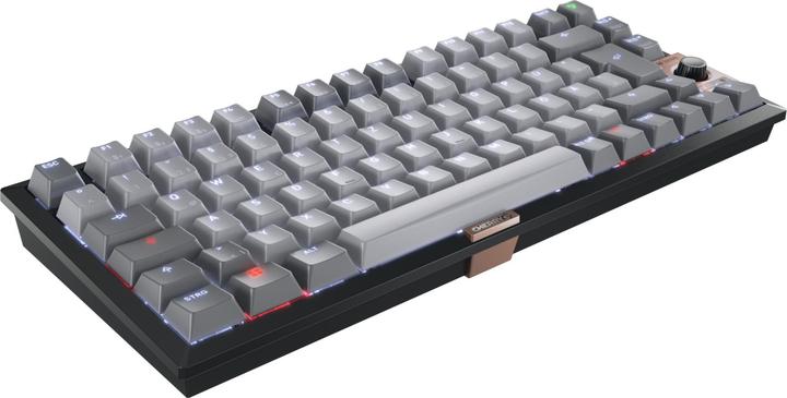 Produktbild CHERRY TAS Keyboard wireless MX 2A silent red LT DE SChwarz (DE, Kabellos, Kabelgebunden)