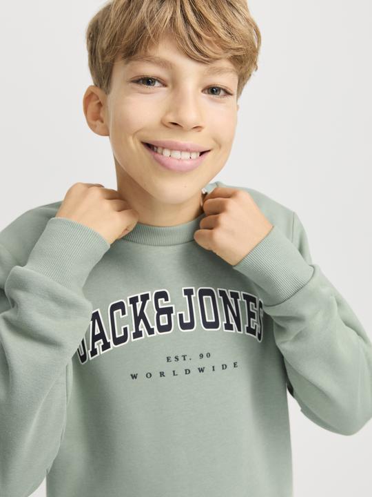 Actual product image Jack & Jones Jjecaleb Varsity Sweat Crew Neck Sn Jnr (140)