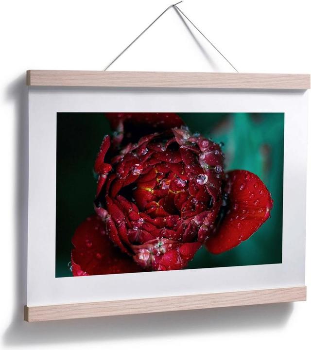 Immagine prodotto Trenddeko Peonia dopo la pioggia (30 x 24 cm)