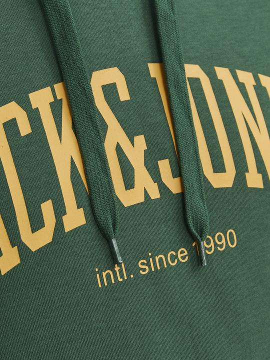 Immagine prodotto Jack & Jones Hoodie (M)