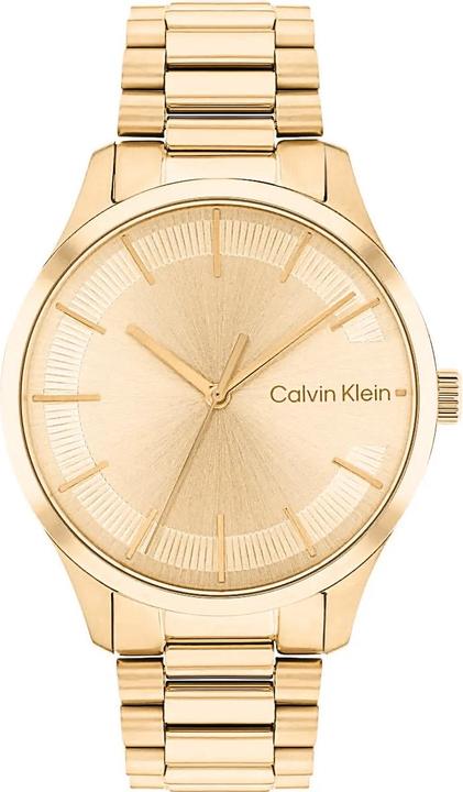 Produktbild Calvin Klein Iconic Armband Damenuhr 25200043 + BOX (Analoguhr)