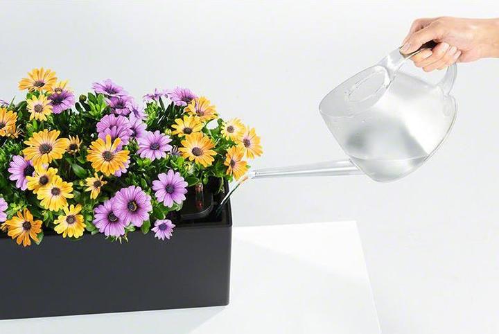 Produktbild Lechuza Balconera Color (19 cm)