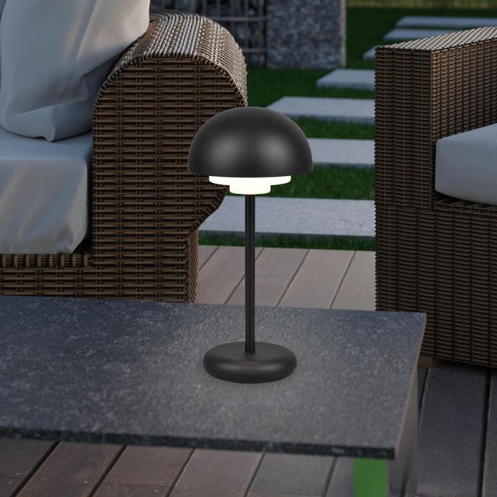 Actual product image Trio Table lamps (180 lm)