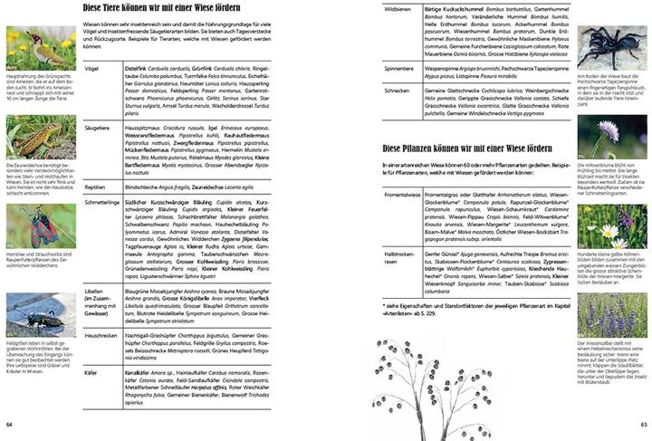 Produktbild Praxishandbuch Stadtnatur (Deutsch, Andrea Haslinger, Sabine Tschäppeler, 2024)