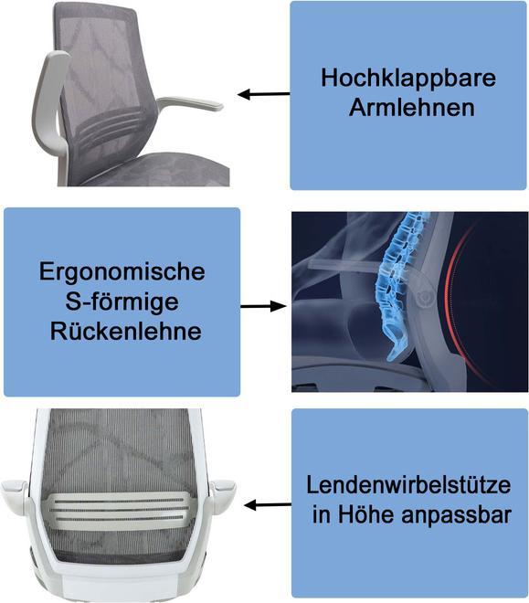 Image du produit Sihoo Chaise de bureau avec soutien lombaire