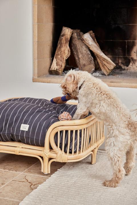 Image du produit Oyoy Jouet à corde Otto, Mellow (Jouet à mâcher pour chien)