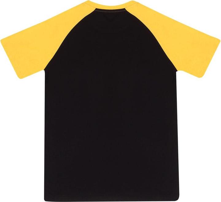 Actual product image Heroes Inc Harry Potter T-Shirt Hufflepuff Grösse XL (XL)