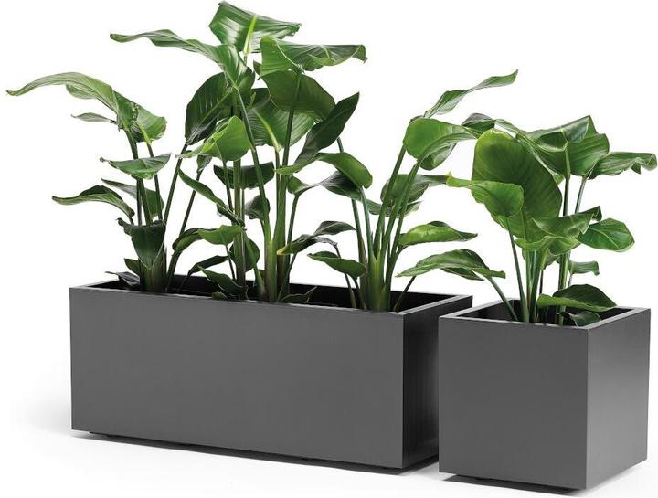 Productafbeelding Euro3plast Planter (39.50 cm)