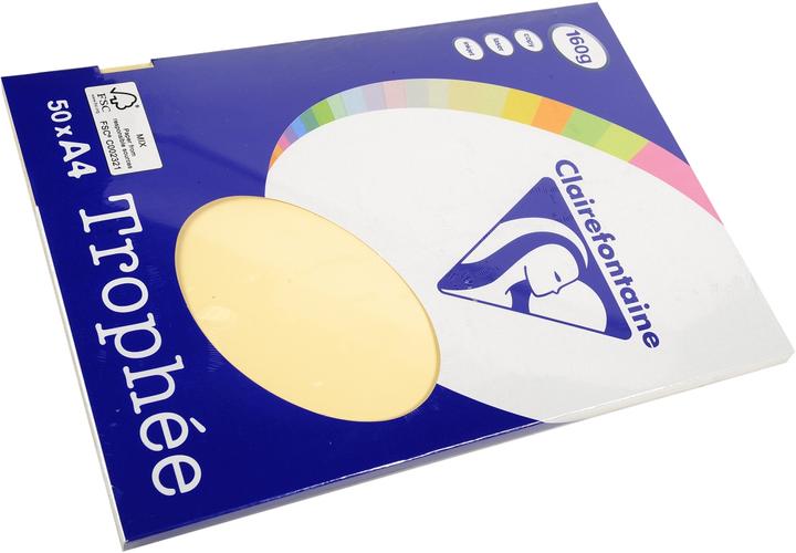 Produktbild Clairefontaine Kopierpapier Pollen A4 160g/qm 50 Blatt chamois (160 g/m², A4)