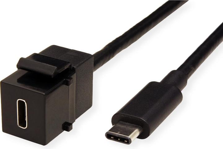 Produktbild Bachmann USB 3,1 Type C Keystone Module (0.50 m, USB 3.1)