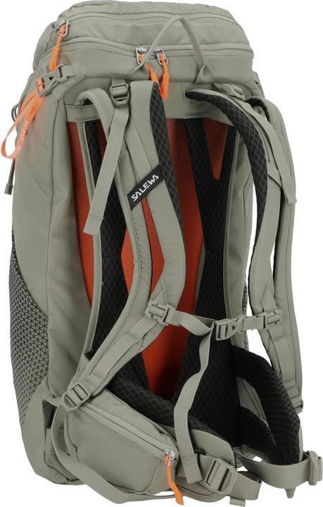 Produktbild Salewa Alp Trainer L Rucksack Da (20 l)
