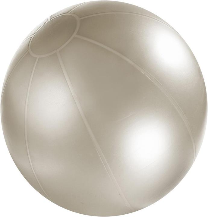 Immagine prodotto TheraBand Palla da ginnastica in ABS (85 cm)