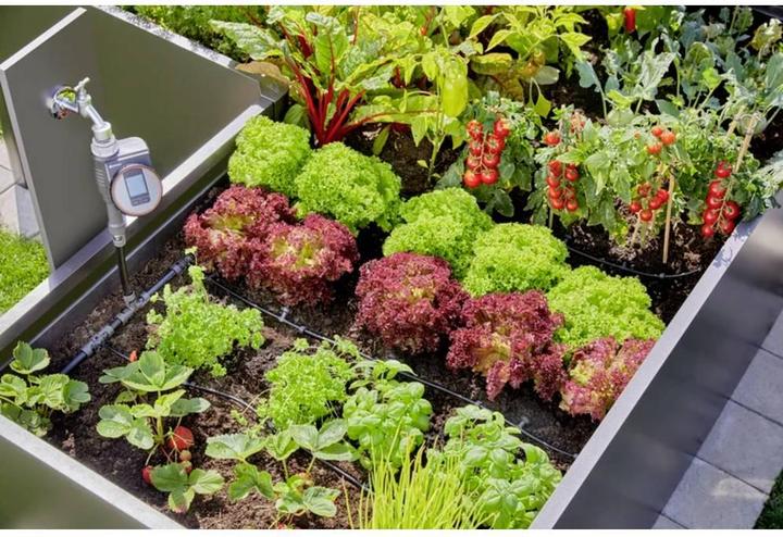 Actual product image Gardena Micro-Drip-System Set Raised Bed/Bed (Drip irrigation set)