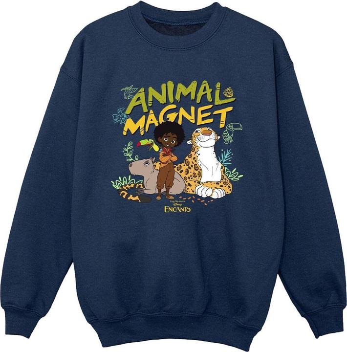 Disney Encanto Animal Magnet Sweatshirt Jungen