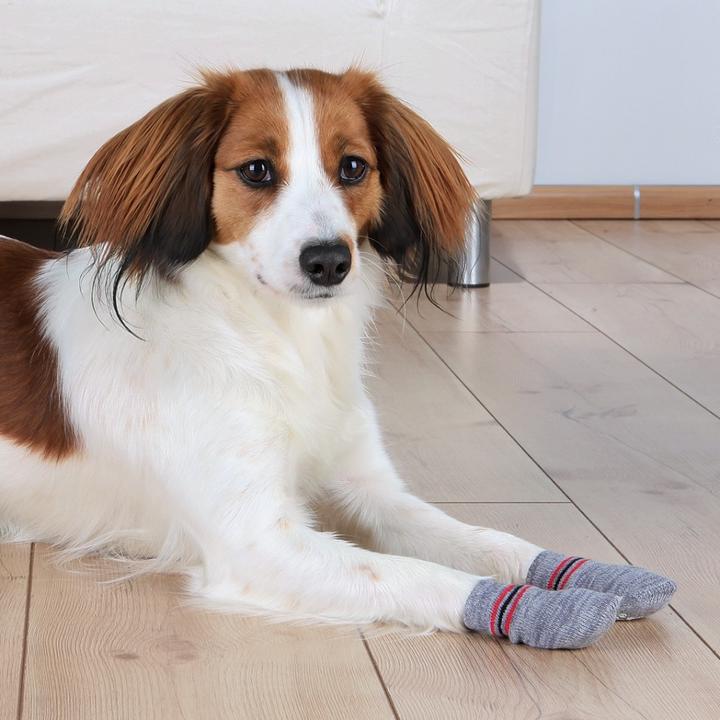 Image du produit Trixie Chaussettes pour chiens (M, L, Chaussettes pour chien)