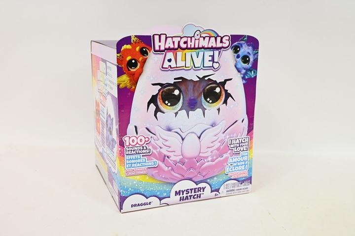 Actual product image Hatchimals EGG Big Egg Secret Hatch Draggle