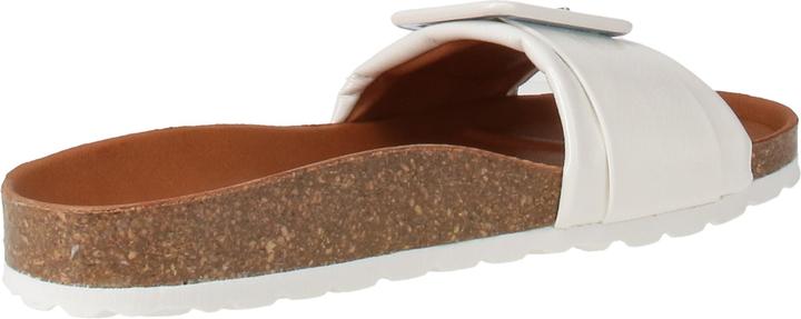 Actual product image Verbenas Reiko (39)