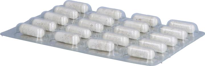 Immagine prodotto Dr. Wolz Darm Pro Rds (60 Pezzo/i, 1053 ml, 75 g)