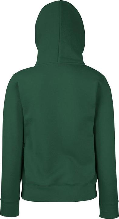 Actual product image Fruit of the Loom Lady Fit Sweater With Hood (S)