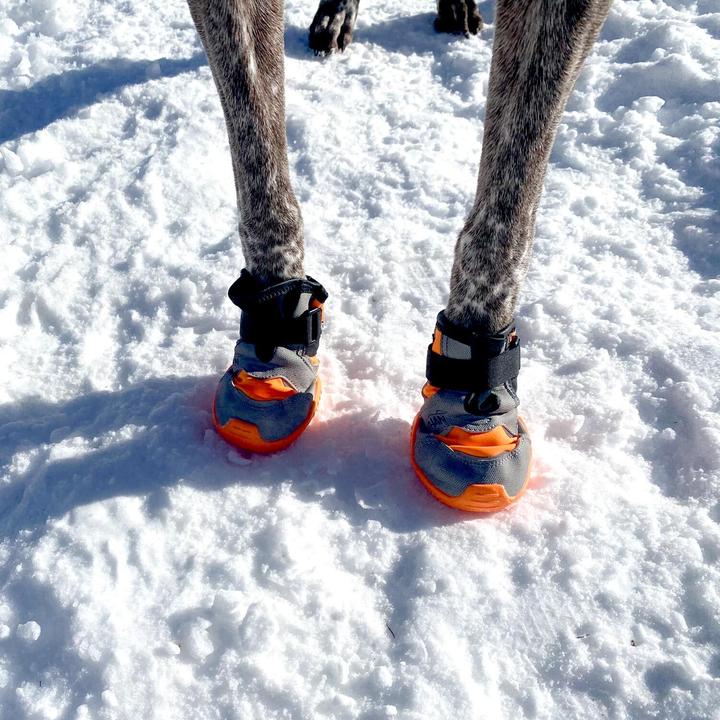 Actual product image i-DOG Khan Pad N'Polar (Dog boots)