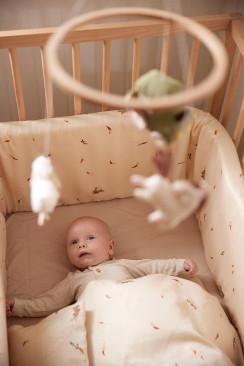 Immagine prodotto Filibabba Paracolpi da letto - Ladro di carote