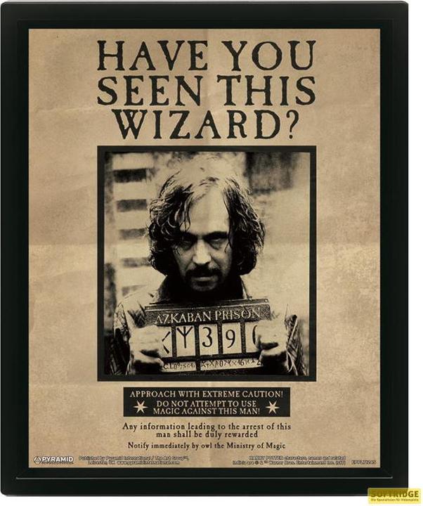 Image du produit Pyramid Harry Potter: Harry Potter - Sirius Black Wanted 3D (26 x 20 cm)