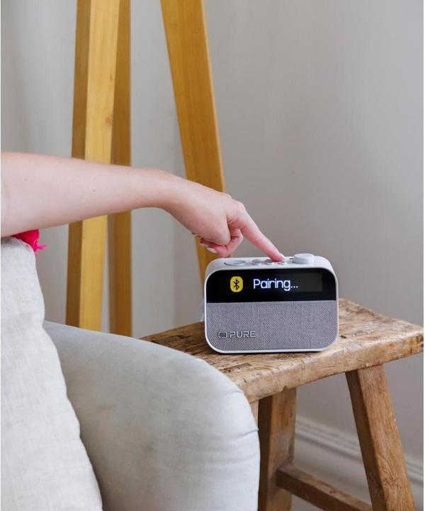 Image du produit Pure Moment (FM, DAB+ DAB, Bluetooth)